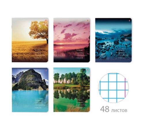 Тетрадь А5 48 л. АЛЬТ скоба, клетка, глянцевый лак, 