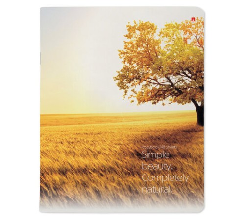 Тетрадь А5 48 л. АЛЬТ скоба, клетка, глянцевый лак, 