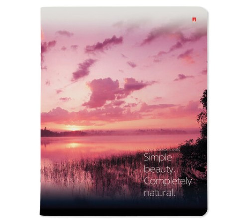 Тетрадь А5 48 л. АЛЬТ скоба, клетка, глянцевый лак, 