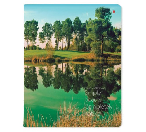 Тетрадь А5 48 л. АЛЬТ скоба, клетка, глянцевый лак, 