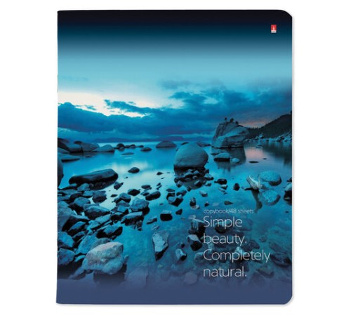 Тетрадь А5 48 л. АЛЬТ скоба, клетка, глянцевый лак, 