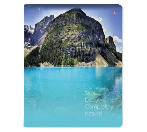 Тетрадь А5 48 л. АЛЬТ скоба, клетка, глянцевый лак, 