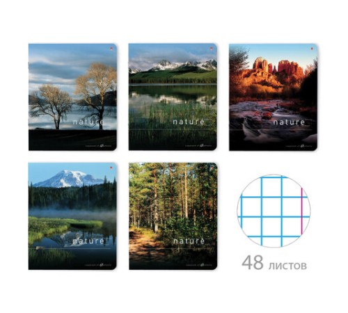 Тетрадь А5 48 л. АЛЬТ скоба, клетка, глянцевый лак, 