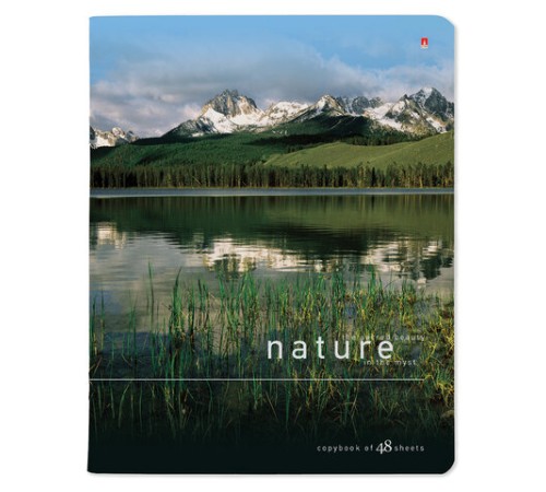 Тетрадь А5 48 л. АЛЬТ скоба, клетка, глянцевый лак, 