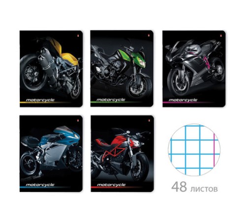 Тетрадь А5 48 л. АЛЬТ скоба, клетка, глянцевый лак, 