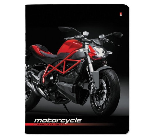 Тетрадь А5 48 л. АЛЬТ скоба, клетка, глянцевый лак, 