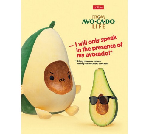 Тетрадь А5, 48 л., HATBER, скоба, клетка, обложка картон, AvoCaDo life (5 видов в спайке), 48Т5В1