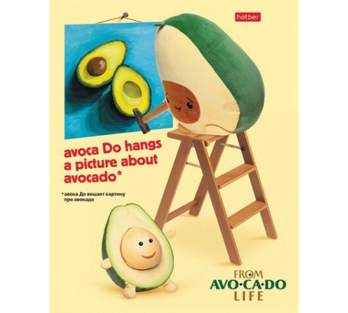 Тетрадь А5, 48 л., HATBER, скоба, клетка, обложка картон, AvoCaDo life (5 видов в спайке), 48Т5В1