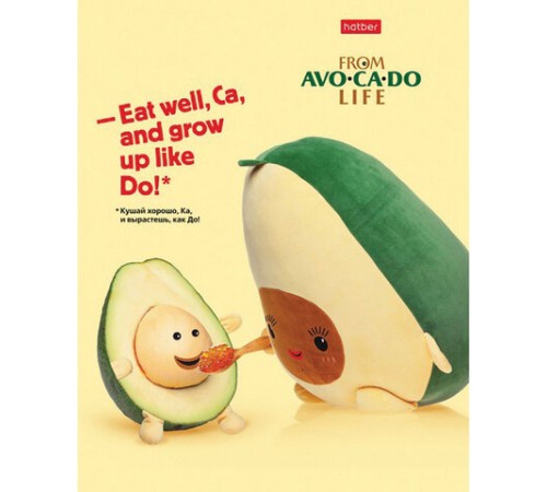 Тетрадь А5, 48 л., HATBER, скоба, клетка, обложка картон, AvoCaDo life (5 видов в спайке), 48Т5В1