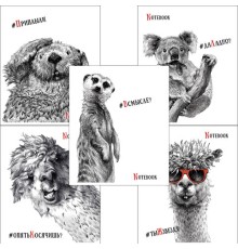 Тетрадь А5, 48 л., ПЗБМ, скоба, клетка, Soft Touch, выборочный лак, 