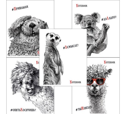 Тетрадь А5, 48 л., ПЗБМ, скоба, клетка, Soft Touch, выборочный лак, 