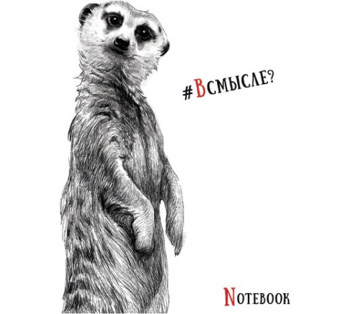 Тетрадь А5, 48 л., ПЗБМ, скоба, клетка, Soft Touch, выборочный лак, 