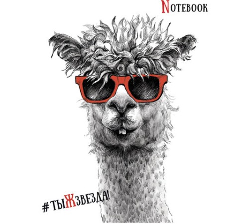 Тетрадь А5, 48 л., ПЗБМ, скоба, клетка, Soft Touch, выборочный лак, 