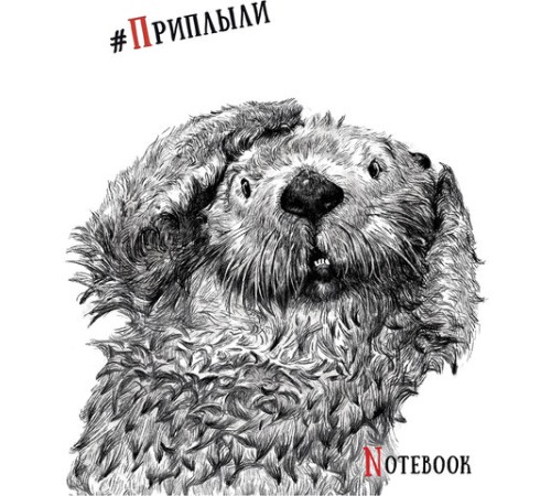 Тетрадь А5, 48 л., ПЗБМ, скоба, клетка, Soft Touch, выборочный лак, 