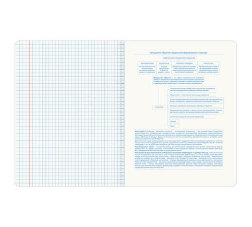 Тетрадь предметная со справочным материалом ORIGINAL 48 л., TWIN лак, ОБЩЕСТВОЗНАНИЕ, клетка, BRAUBERG, 404298