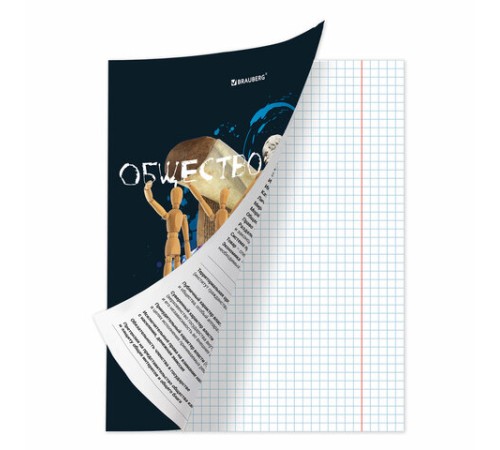 Тетрадь предметная со справочным материалом ORIGINAL 48 л., TWIN лак, ОБЩЕСТВОЗНАНИЕ, клетка, BRAUBERG, 404298