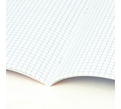 Тетрадь предметная со справочным материалом ORIGINAL 48 л., TWIN лак, ОБЩЕСТВОЗНАНИЕ, клетка, BRAUBERG, 404298