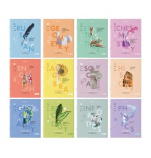 Тетради предметные со справочным материалом, КОМПЛЕКТ 12 ПРЕДМЕТОВ, 48 л., обложка картон, BRAUBERG, 