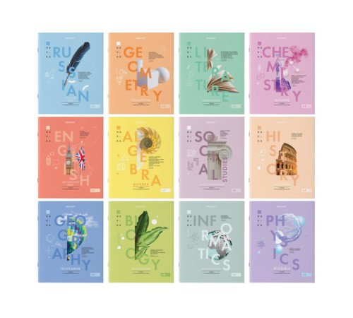 Тетради предметные со справочным материалом, КОМПЛЕКТ 12 ПРЕДМЕТОВ, 48 л., обложка картон, BRAUBERG, 