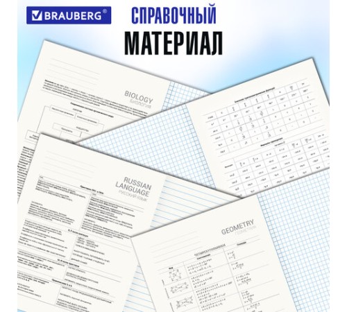 Тетради предметные со справочным материалом, КОМПЛЕКТ 12 ПРЕДМЕТОВ, 48 л., обложка картон, BRAUBERG, 