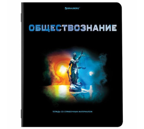 Тетради предметные, КОМПЛЕКТ 12 ПРЕДМЕТОВ, 48 л., глянцевый УФ-лак, BRAUBERG, 