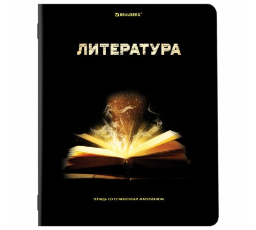 Тетради предметные, КОМПЛЕКТ 12 ПРЕДМЕТОВ, 48 л., глянцевый УФ-лак, BRAUBERG, 