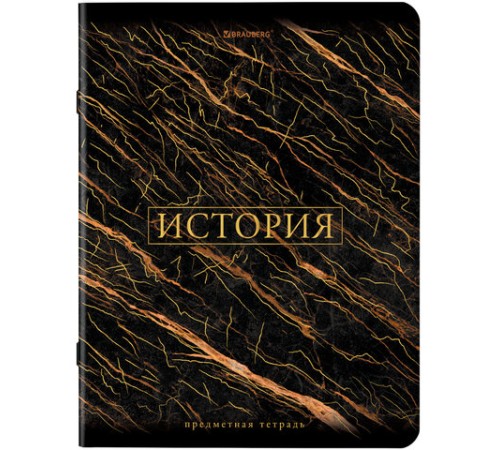 Тетради предметные, КОМПЛЕКТ 12 ПРЕДМЕТОВ, 48 л., SoftTouch, фольга, BRAUBERG, 