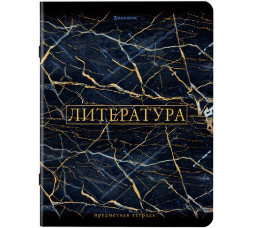 Тетради предметные, КОМПЛЕКТ 12 ПРЕДМЕТОВ, 48 л., SoftTouch, фольга, BRAUBERG, 