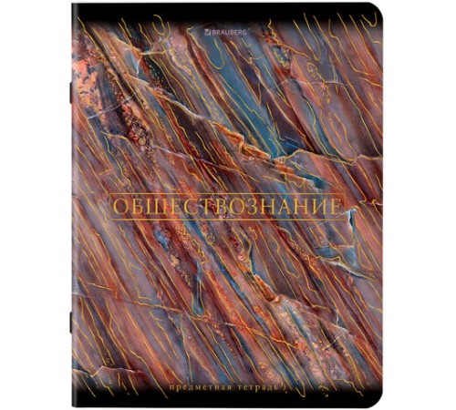 Тетради предметные, КОМПЛЕКТ 12 ПРЕДМЕТОВ, 48 л., SoftTouch, фольга, BRAUBERG, 