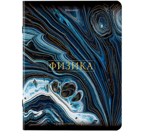 Тетради предметные, КОМПЛЕКТ 12 ПРЕДМЕТОВ, 48 л., SoftTouch, фольга, BRAUBERG, 