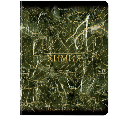 Тетради предметные, КОМПЛЕКТ 12 ПРЕДМЕТОВ, 48 л., SoftTouch, фольга, BRAUBERG, 