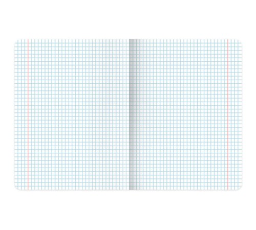 Тетради предметные, КОМПЛЕКТ 12 ПРЕДМЕТОВ, 48 л., SoftTouch, фольга, BRAUBERG, 