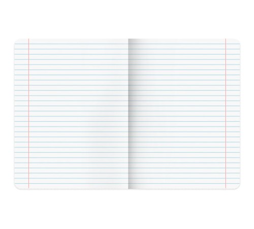 Тетради предметные, КОМПЛЕКТ 12 ПРЕДМЕТОВ, 48 л., SoftTouch, фольга, BRAUBERG, 