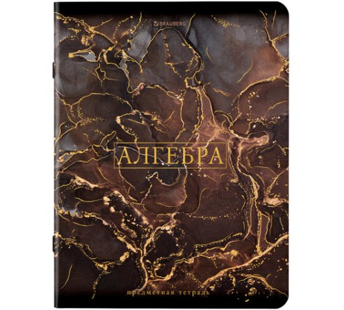 Тетради предметные, КОМПЛЕКТ 12 ПРЕДМЕТОВ, 48 л., SoftTouch, фольга, BRAUBERG, 