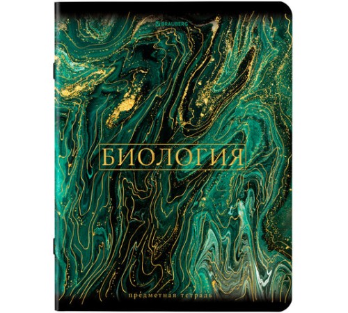 Тетради предметные, КОМПЛЕКТ 12 ПРЕДМЕТОВ, 48 л., SoftTouch, фольга, BRAUBERG, 