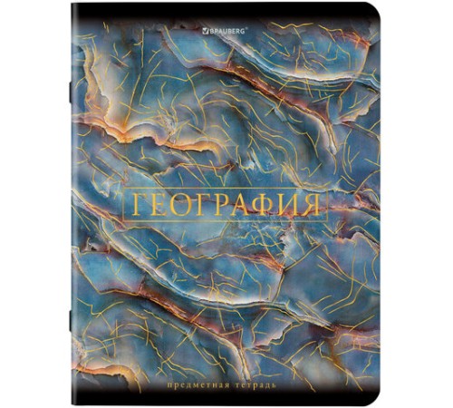 Тетради предметные, КОМПЛЕКТ 12 ПРЕДМЕТОВ, 48 л., SoftTouch, фольга, BRAUBERG, 