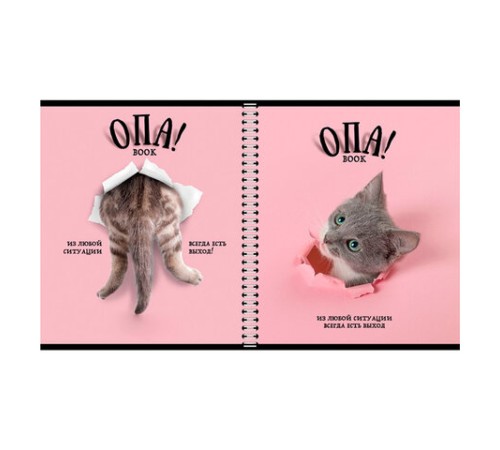 Тетрадь А5 96 л. ПЗБМ, гребень, клетка/линия, выборочный лак, перевёртыш, 