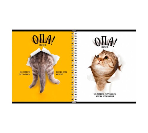 Тетрадь А5 96 л. ПЗБМ, гребень, клетка/линия, выборочный лак, перевёртыш, 