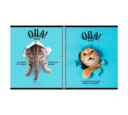 Тетрадь А5 96 л. ПЗБМ, гребень, клетка/линия, выборочный лак, перевёртыш, 