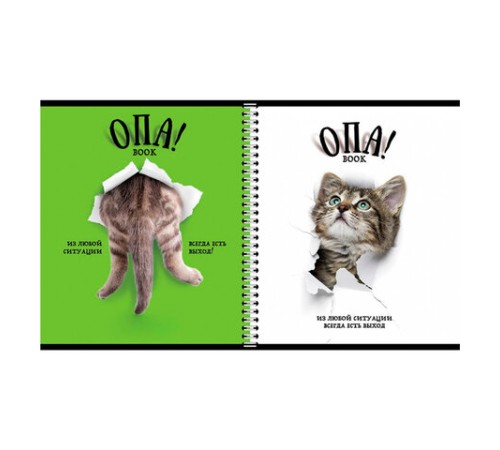Тетрадь А5 96 л. ПЗБМ, гребень, клетка/линия, выборочный лак, перевёртыш, 