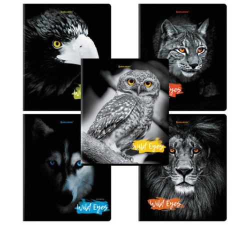 Тетрадь А5, 48 л., BRAUBERG, скоба, клетка, выборочный лак, 