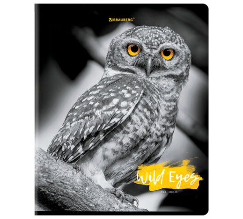 Тетрадь А5, 48 л., BRAUBERG, скоба, клетка, выборочный лак, 