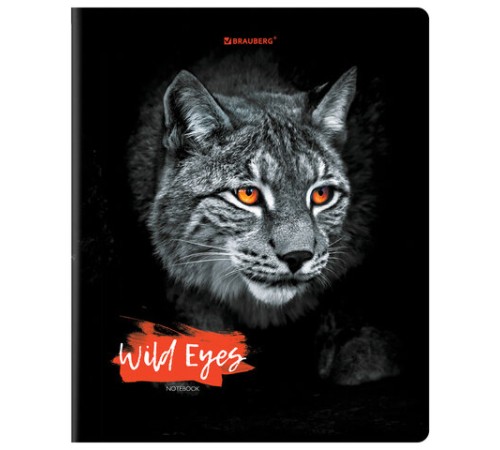 Тетрадь А5, 48 л., BRAUBERG, скоба, клетка, выборочный лак, 