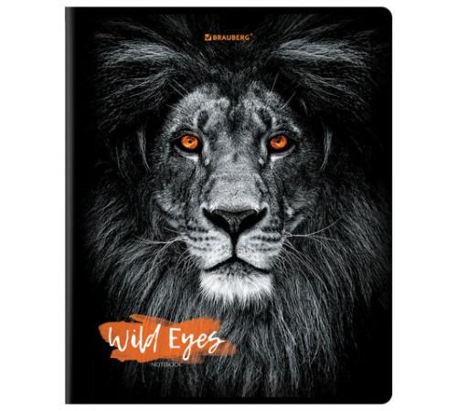 Тетрадь А5, 48 л., BRAUBERG, скоба, клетка, выборочный лак, 