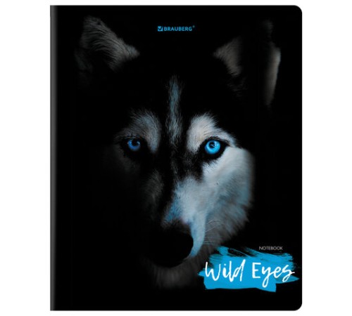 Тетрадь А5, 48 л., BRAUBERG, скоба, клетка, выборочный лак, 