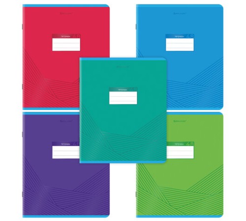 Тетрадь А5, 48 л., BRAUBERG, скоба, клетка, выборочный лак, 