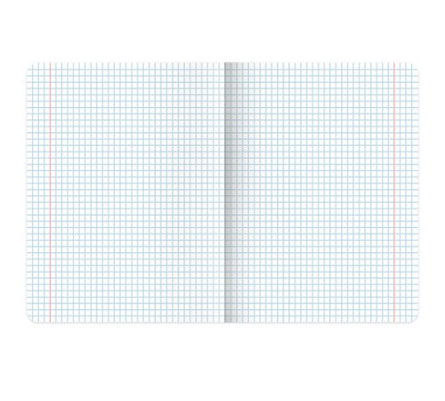 Тетрадь А5, 48 л., BRAUBERG, скоба, клетка, выборочный лак, 