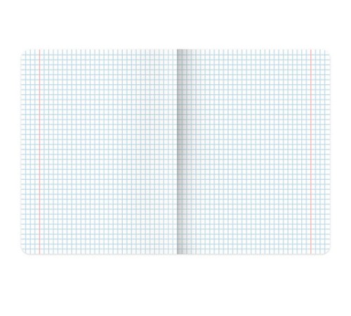 Тетрадь А5, 48 л., BRAUBERG, скоба, клетка, TWIN-лак, 