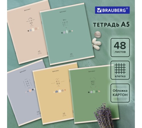 Тетрадь А5 48 л. BRAUBERG скоба, клетка, обложка картон, 