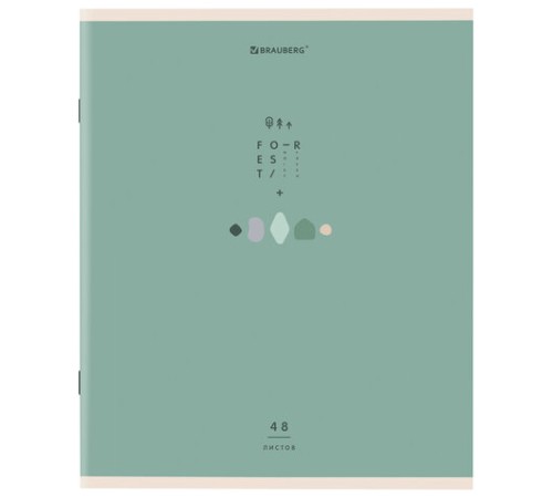 Тетрадь А5 48 л. BRAUBERG скоба, клетка, обложка картон, 